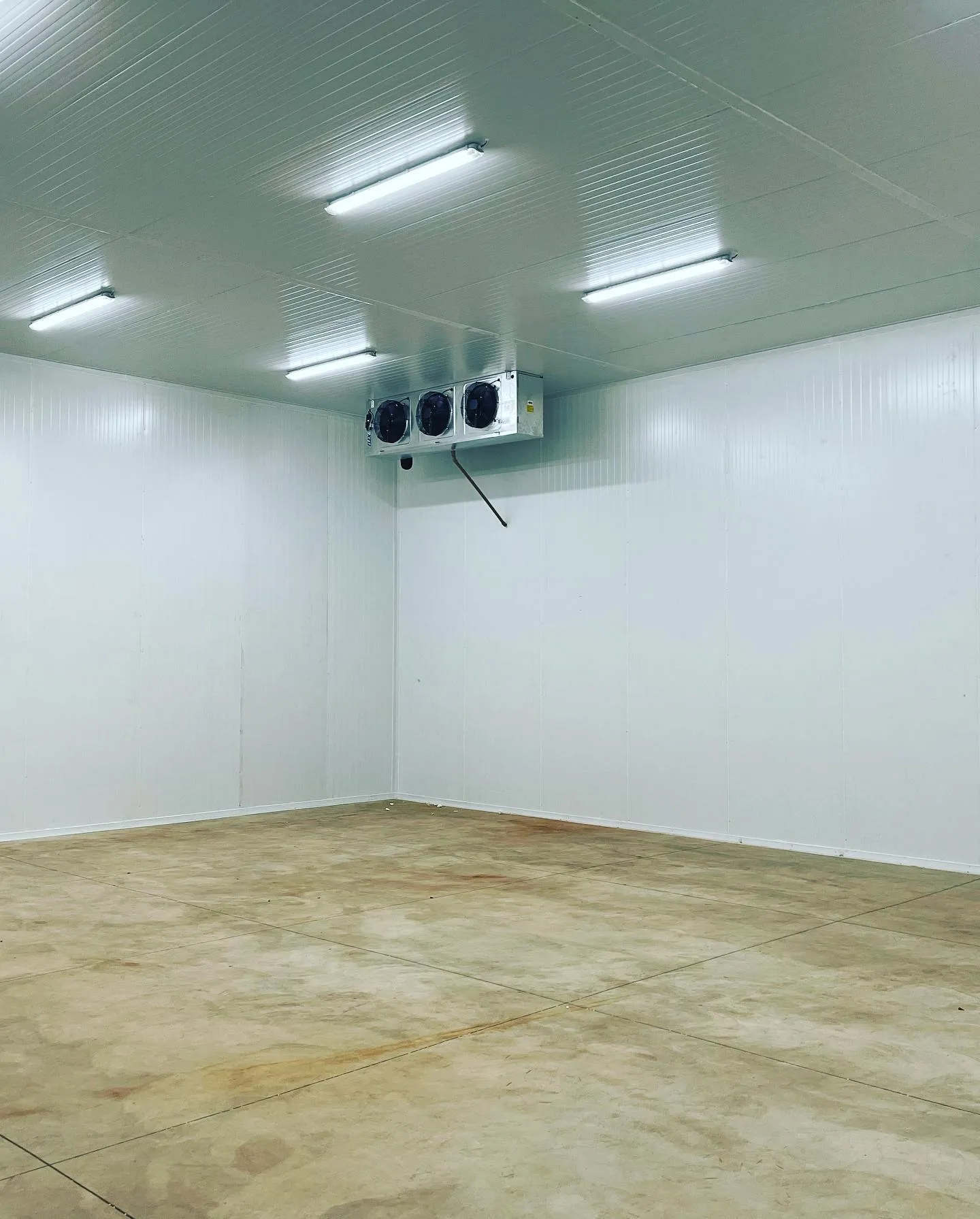 Interior amplo de câmara fria vazia com evaporador de três ventiladores e luminárias